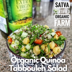 Quinoa Tabbouleh Salad - Organic | Satva Certified Organic Farm