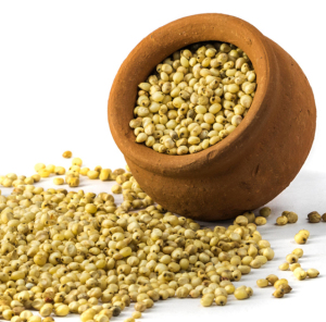 Jowar (Sorghum) - Certified Organic | Sahaja Organics