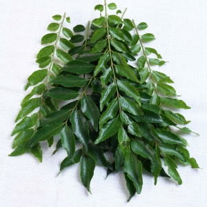  Curry Leaves - Natural | Green Leaves Farm