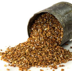 Red Rice - Certified Organic | Sahaja Organics