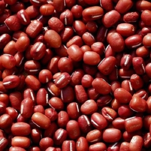 Red Cowpea - Certified Organic | Sahaja Organics