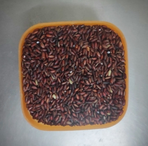 Kaattuyaanam Rice - Organically Grown | Kaadu Organics