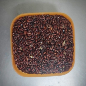 Mappilai Samba Rice ( with skin) - Natural | Kaadu Organics