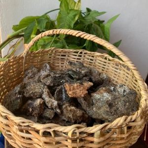 Natural Pine Camphor  | Joseph Maprakavil