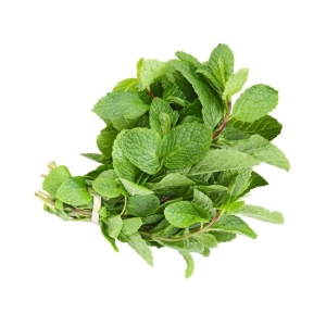 Mint (Pudina ) - Organically Grown | Farmizen Network