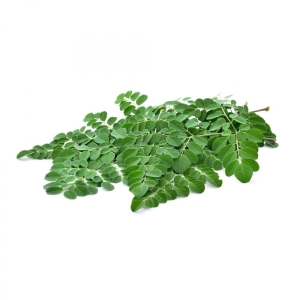 Moringa (Drumstick) Leaves - Organically Grown | Farmizen Network