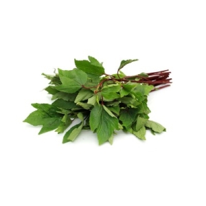 Gongura Leaves  (can be red or green stem) - Organic | Farmizen Network