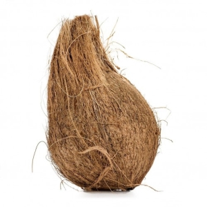 Coconut -  Organically Grown  | Farmizen Network