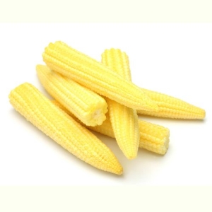 Baby Corn -  Organically Grown  | Farmizen Network