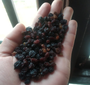 Blackberry Dried - Natural | Abdul Majid Magray