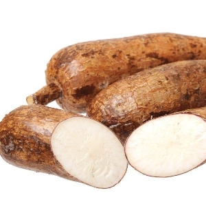 Tapioca - Organically Grown | Farmizen Network